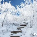 산디천 이미지