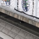 세븐일레븐 부산대역정문점 이미지