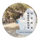 맹골사랑 이미지