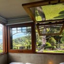 노고마주 이미지