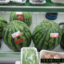 늘푸른식품 이미지