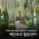 레인보우관광호텔공동탕 | 영동 레인보우 힐링관광지: 와인터널 입장료 꿀팁과 알찬 드라이브