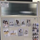 천안 불당동 사진관 추천 : 노블온 스튜디오 임신 25주차 중기사진 후기
