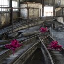 상갈래 도로변 이미지