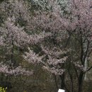 학암농장 이미지