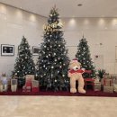 한스행정사사무소 이미지