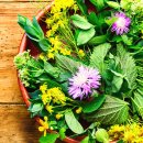 은평좋은한의원 이미지