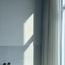 스테이수안 이미지