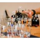 스페이스카 | 경기도 하남 와인샵 레드셀러, The Vin CSR 와인시음회
