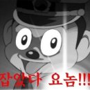 헤이라딘 이미지