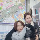 더건국공인중개사사무소 이미지