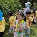 자연어린이집 | 우리들 자연학교 6월 18일 가재울 어린이집 수업 후기