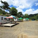 홍산관광농원 이미지