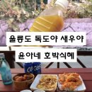 해님(소공원) | [맛집일까] 울릉도 : 독도야 새우야(독도새우튀김), 윤아네 호박식혜
