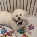 동그랑댕 이미지