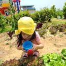 경기엘림어린이집 놀이터 이미지