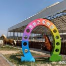 홍성군 승마장 이미지