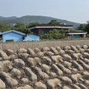 천변1길 이미지