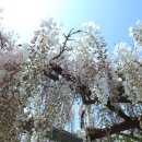 무안북중학교 이미지