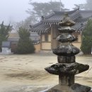 용궁초등학교 | [경북 예천군]2박 3일의 예천 여행 중 셋째 날 // 도장리사지/흔효리와 와룡동 석조여래입상/향석리...
