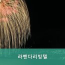라벤더고시원