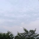챔프인터넷프라자 | [주간오이] 6월 넷째주 일상기록