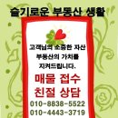 슬기로운부동산중개사무소 이미지