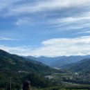 정금마을 차밭 앞 이미지