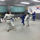 TH용인대유도체육관 이미지