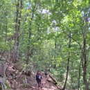 보경사 화장실 이미지