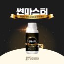 태천상사 | 四字成語 총정리 <ㄱ> 779 광중성자~광천지하