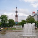 자양제 | 삿포로 돈키호테 쇼핑리스트 할인쿠폰 면세 추천템