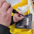 리틀포레 이미지