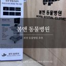 봄앤동물병원 이미지