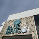 빌라마래 이미지