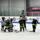 TOP 태권도 유소년 스포츠 클럽 | 하남어린이아이스하키 시작은 타이거샥스 아이스하키 하남지점 : 하남아이스하키 체험 후기