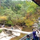 하회안동찜닭 이미지