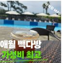 빽다방상동역푸른 | 제주 애월 카페 추천, 빽다방 제주애월좋은마트점에서 즐긴 시원한 아이스 아메리카노