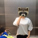 소잉곰
