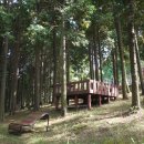 계룡산골프장 이미지