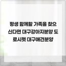 대구강아지분양 도로시펫 | 평생 함께할 가족을 찾으신다면 대구강아지분양 도로시펫 대구애견분양
