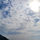 도동약국 이미지