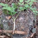 숲고을농장 이미지