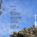 내가 너를 - 나태주 시인의 시 한 수 이미지