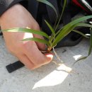 남도석성 이미지