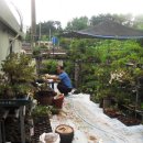 유순농장 이미지