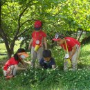 문정공원 이미지