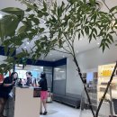 이철헤어 중동홈플러스점 | 파망떼7케어 이철헤어커커 수원영통홈플러스점 손상모 구원 후기!