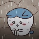 거보디자인 이미지