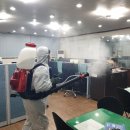 자동차관리과 이미지